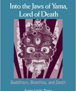 Into the Jaws of Yama, Lord of Death: Buddhism, Bioethics, and Death