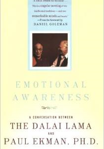 Emotional Awareness: Overcoming the Obstacles to Psychological Balance and Compassion