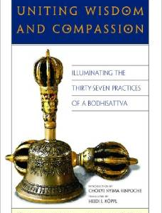 Uniting Wisdom and Compassion: Illuminating the Thirty-Seven Practices of a Bodhisattva