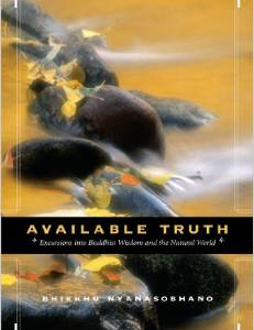Available Truth: Excursions Into Buddhist Wisdom and the Natural World
