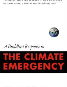 A Buddhist Response to the Climate Emergency