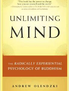 Unlimiting Mind: The Radically Experiential Psychology of Buddhism