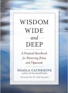 Wisdom Wide and Deep: A Practical Handbook for Mastering Jhana and Vipassana