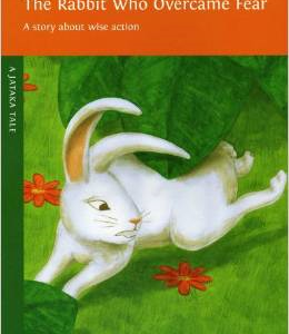 The Rabbit Who Overcame Fear