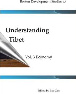 Understanding Tibet (Boston Development Studies 13): Vol. 4 Economy