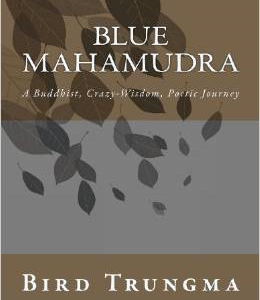 Blue Mahamudra: A Buddhist, Crazy-Wisdom, Poetic Journey