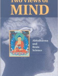 Two Views of Mind: Abhidharma & Brain Science