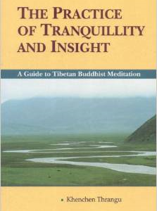 The Practice of the Tranquility & Insight: A Guide to Tibetan Buddhist Mediation