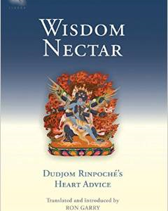 Wisdom Nectar: Dudjom Rinpoche's Heart Advice