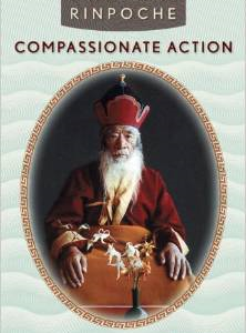 Compassionate Action