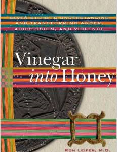 Vinegar Into Honey: Seven Steps to Understanding and Transforming Anger, Agression, & Violence