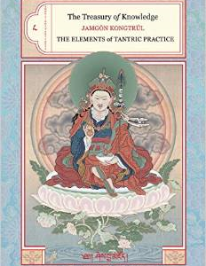 The Treasury of Knowledge: Book 8, Part 3: The Elements of Tantric Practice