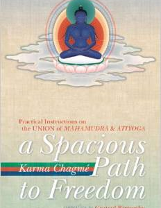 A Spacious Path to Freedom: Practical Instructions on the Union of Mahamudra and Atiyoga