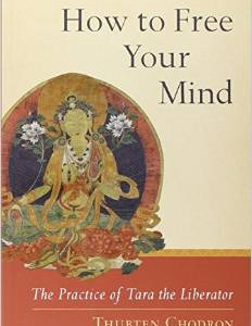 How to Free Your Mind: The Practice of Tara the Liberator