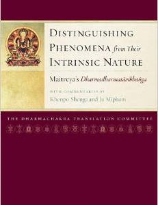 Distinguishing Phenomena from Their Intrinsic Nature: Maitreya's Dharmadharmatavibhanga
