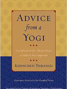 Advice from a Yogi: An Explanation of a Tibetan Classic on What Is Most Important