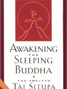Awakening the Sleeping Buddha