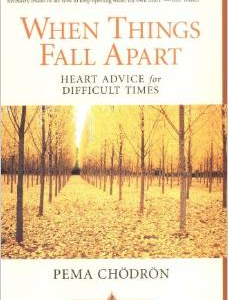 When Things Fall Apart: Heart Advice for Difficult Times