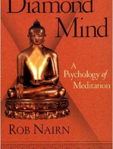 Diamond Mind: A Psychology of Meditation