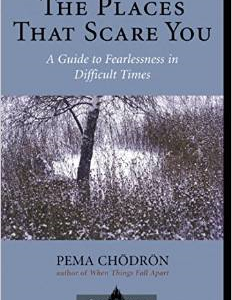 The Places That Scare You: A Guide to Fearlessness in Difficult Times