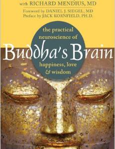 Buddha's Brain: The Practical Neuroscience of Happiness, Love & Wisdom