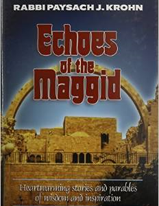 Echoes of the Maggid: Heartwarming Stories and Parables of Wisdom and Inspiration
