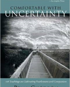 Comfortable with Uncertainty: 108 Teachings on Cultivating Fearlessness and Compassion