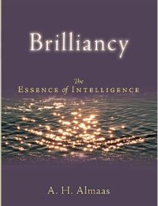 Brilliancy: The Essence of Intelligence