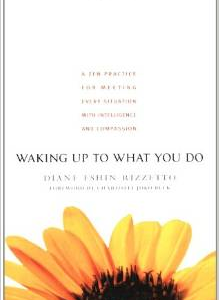 Waking Up to What You Do: A Zen Practice for Meeting Every Situation with Intelligence and Compassion