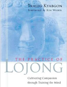 The Practice of Lojong: Cultivating Compassion Through Training the Mind