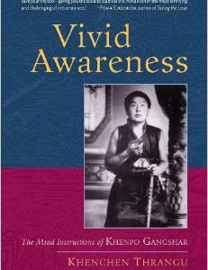 Vivid Awareness: The Mind Instructions of Khenpo Gangshar