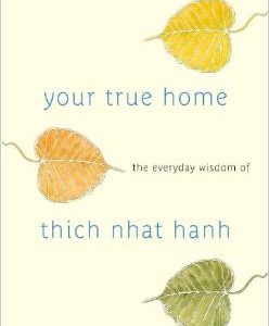 Your True Home: The Everyday Wisdom of Thich Nhat Hanh