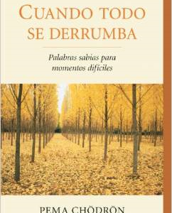 Cuando Todo Se Derrumba (When Things Fall Apart): Palabras Sabias Para Momentos Dificiles