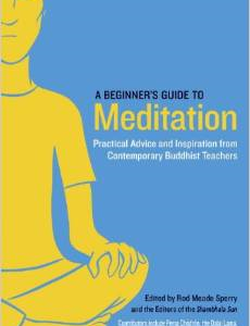 A Beginner's Guide to Meditation: Practical Advice and Inspiration from Contemporary Buddhist Teachers