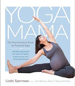 Yoga Mama: The Practitioner's Guide to Prenatal Yoga