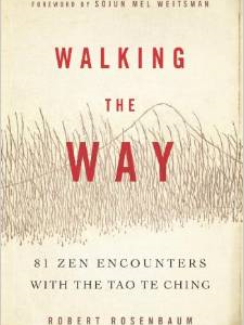 Walking the Way: 81 Zen Encounters with the Tao Te Ching