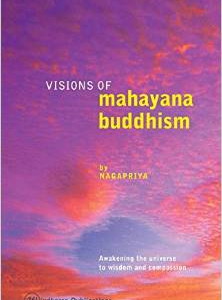 Visions of Mahayana Buddhism: Awakening the Universe to Wisdom and Compassion