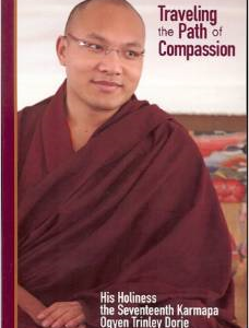 Traveling the Path of Compassion: A Commentary on the Thirty-Seven Practices of a Bodhisattva