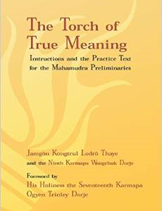 Torch of True Meaning: Instructions and the Practice for the Mahamudra Preliminaries