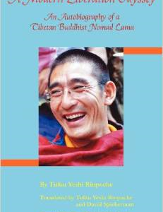 A Modern Liberation Odyssey: Autobiography of Tibetan Buddhist Nomad Lama