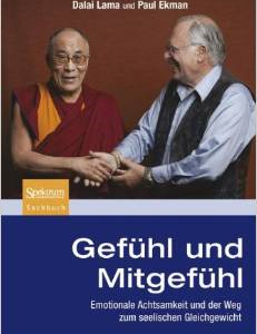 Gef Hl Und Mitgef Hl: Emotionale Achtsamkeit Und Der Weg Zum Seelischen Gleichgewicht