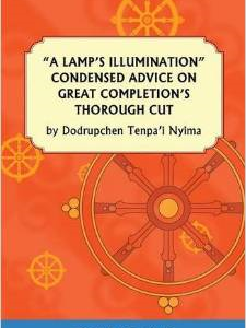 A Lamp's Illumination Condensed Advice on Great Completion's Thorough Cut